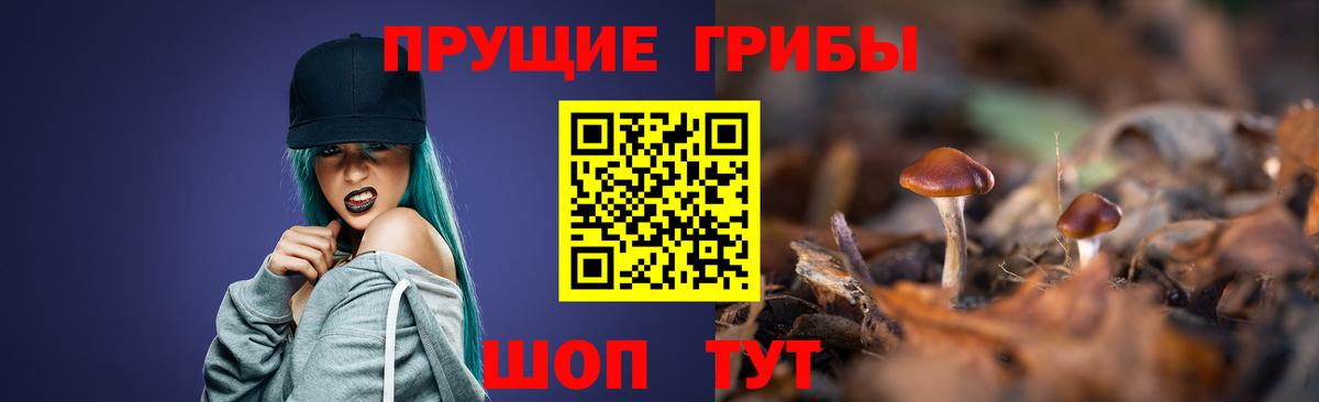 Псилоцибиновые грибы Psilocybine cubensis  Вход с VPN  Батайск 